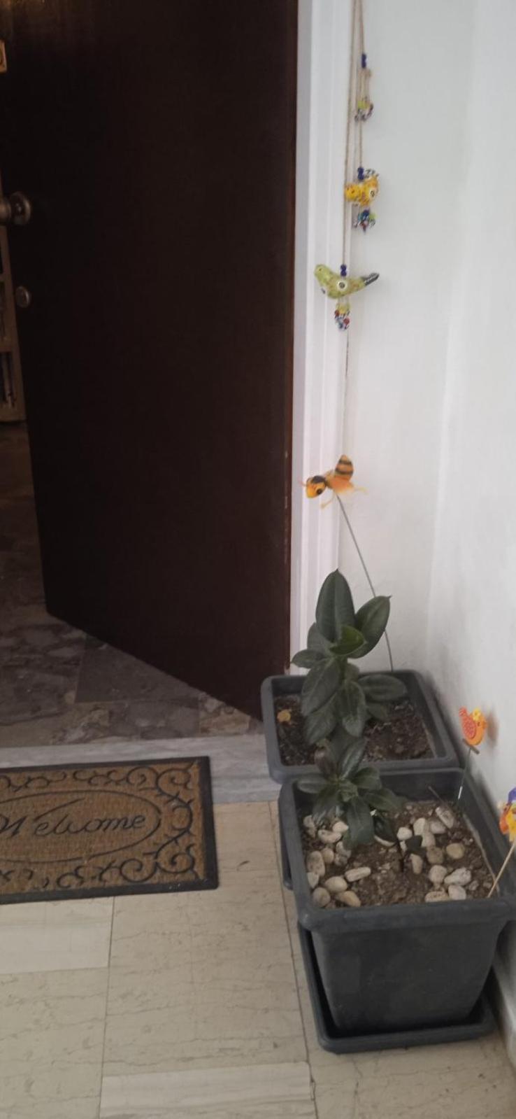 Campelina Home, 2Bd Near Corfu Town Eksteriør bilde